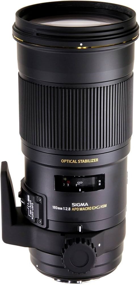Amazon.co.jp: SIGMA 単焦点マクロレンズ APO MACRO 180mm F2.8 EX DG