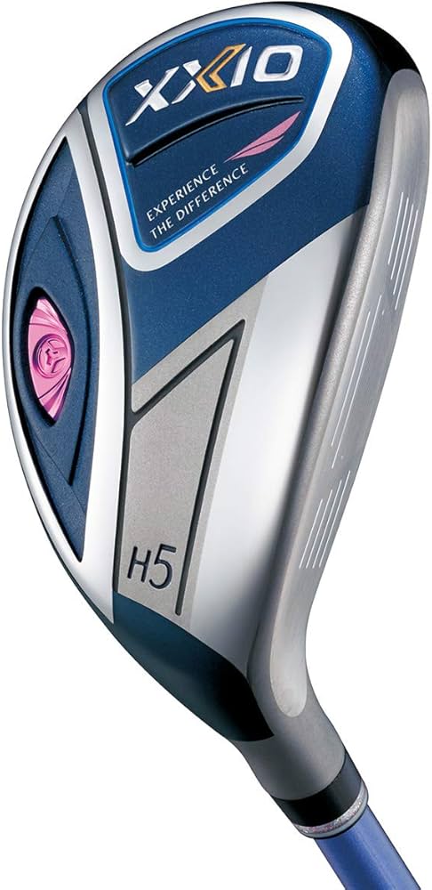 XXIO 10 ハイブリッドMiyazaki Waena SR 4本セット ☆人気のゼクシオ10