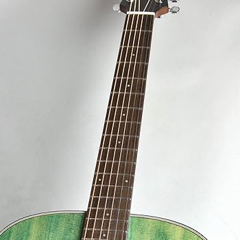 Amazon | Zemaitis ゼマイティス エレアコギター CAG-100HS-E, Forest