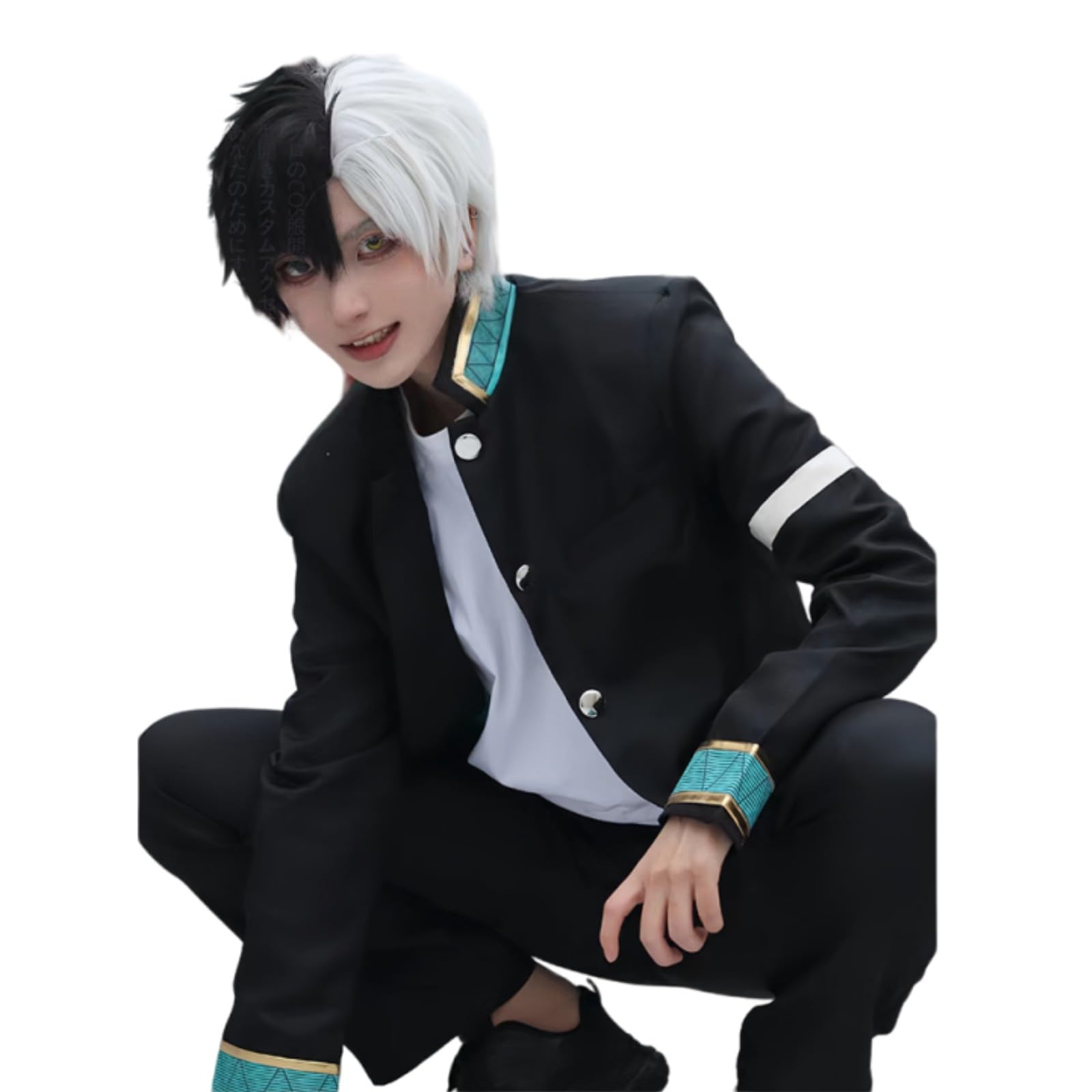 Amazon.co.jp: ウィッグ 追加可 ウィンドブレイカー 桜遥 蘇枋隼飛