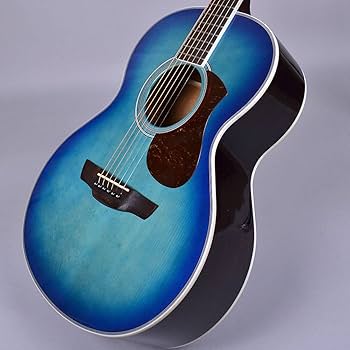 Amazon | James J-300A EBU (アースブルー) アコースティックギター