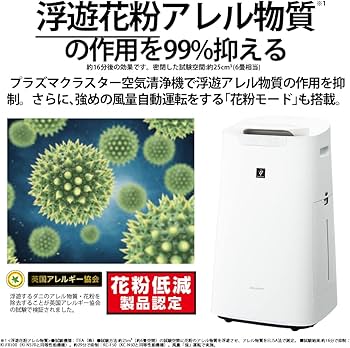 61neVDBSGwL._AC_UF350,