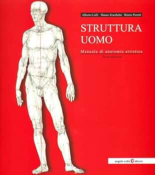 アート・デザイン・音楽 Struttura uomo in movimento Amazon.com