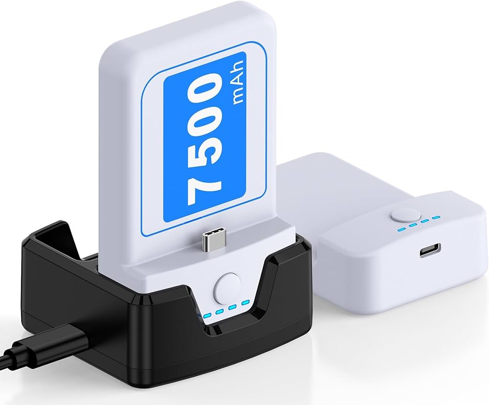 Amazon.com: 15000 mAh Rechargeable Battery Pack and Charging Dock