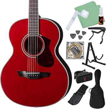 61qnrd6BlcL._AC_UF350,