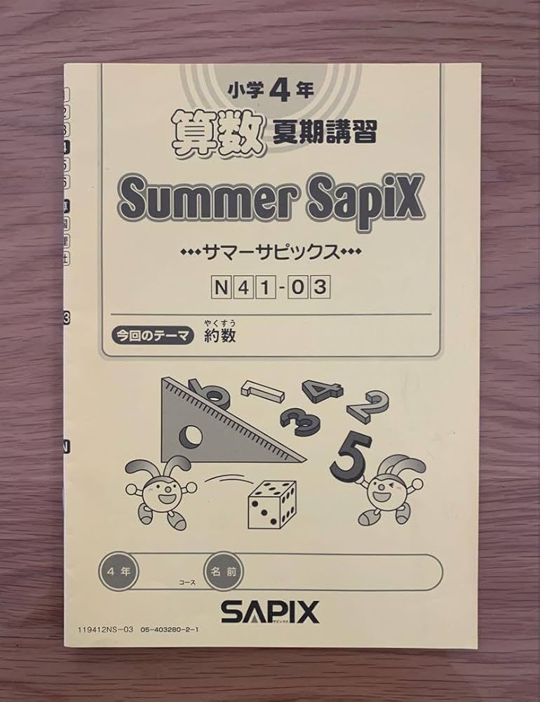 ㉒E 未記入 SAPIX サピックス 国語 夏期講習 4年 サマーサピックス