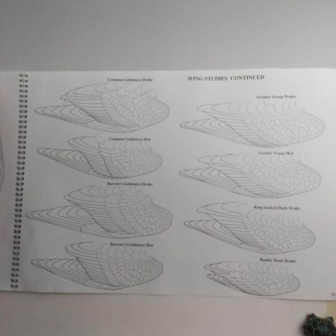 Amazon.co.jp: バードカービング教本2冊 パトリック ゴディンのカモと