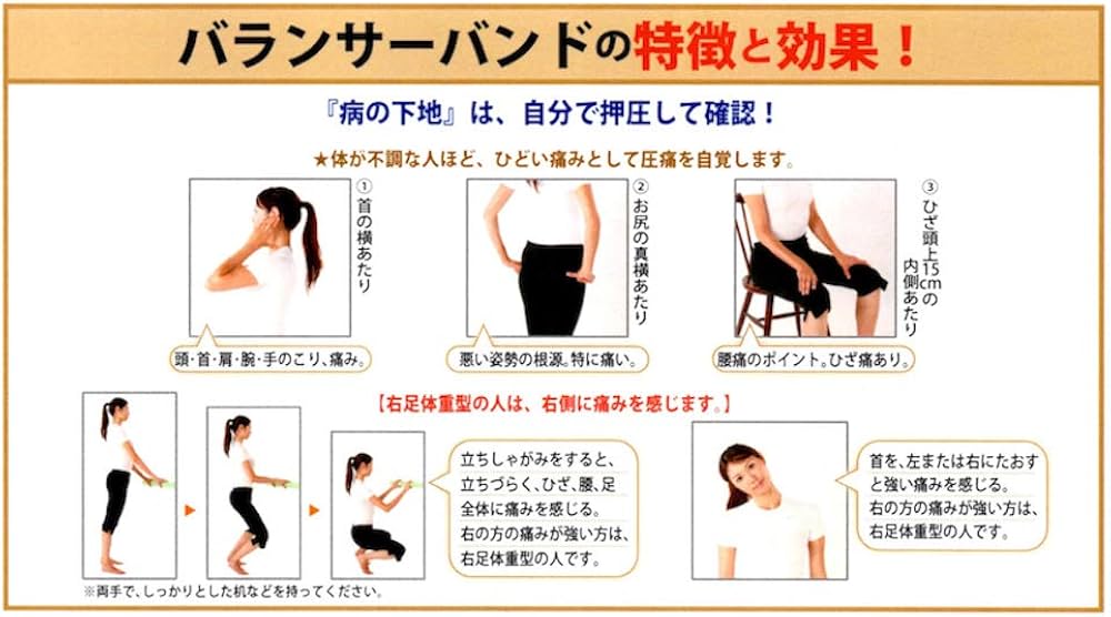 Amazon.co.jp: ヘルスパワー ゲルマバランサーバンド GBH-LL LLサイズ