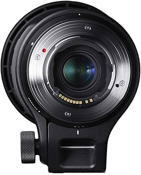 Amazon.com : Sigma 150-600mm 5-6.3 Contemporary DG OS HSM Lens for