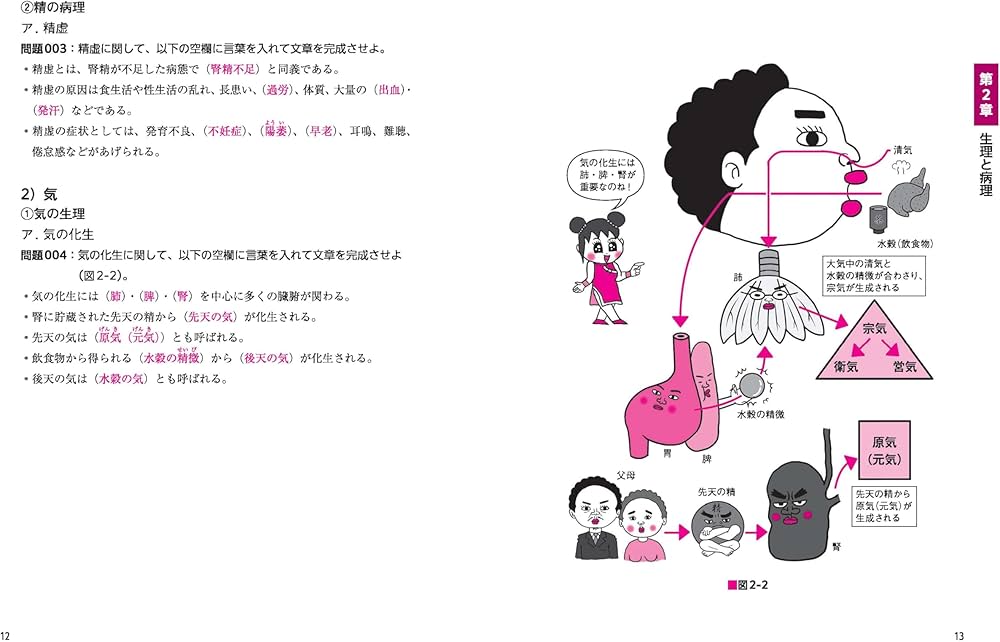 よく出るぜ!ここがポイント- でる兄 無双の東洋医学概論！あん摩