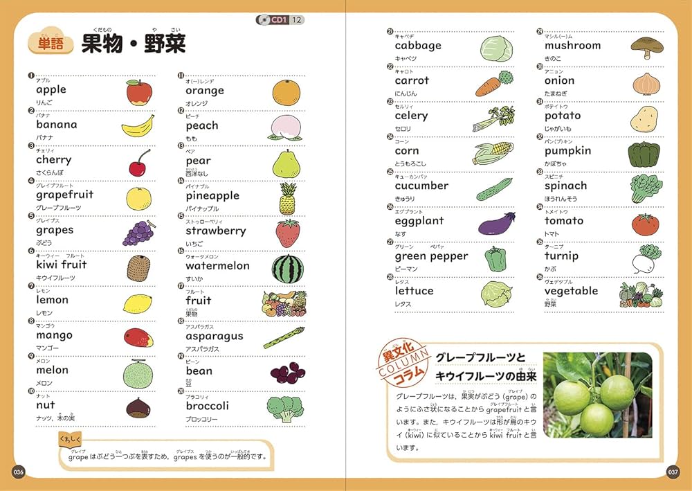 新レインボー はじめて英会話辞典 オールカラー-CD2枚つき 音声アプリ
