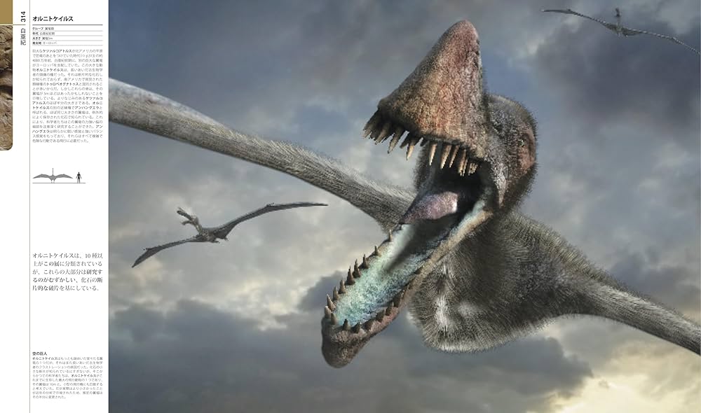 生物の進化大図鑑【コンパクト版】 | マイケル・J・ベントン, 小畠郁生