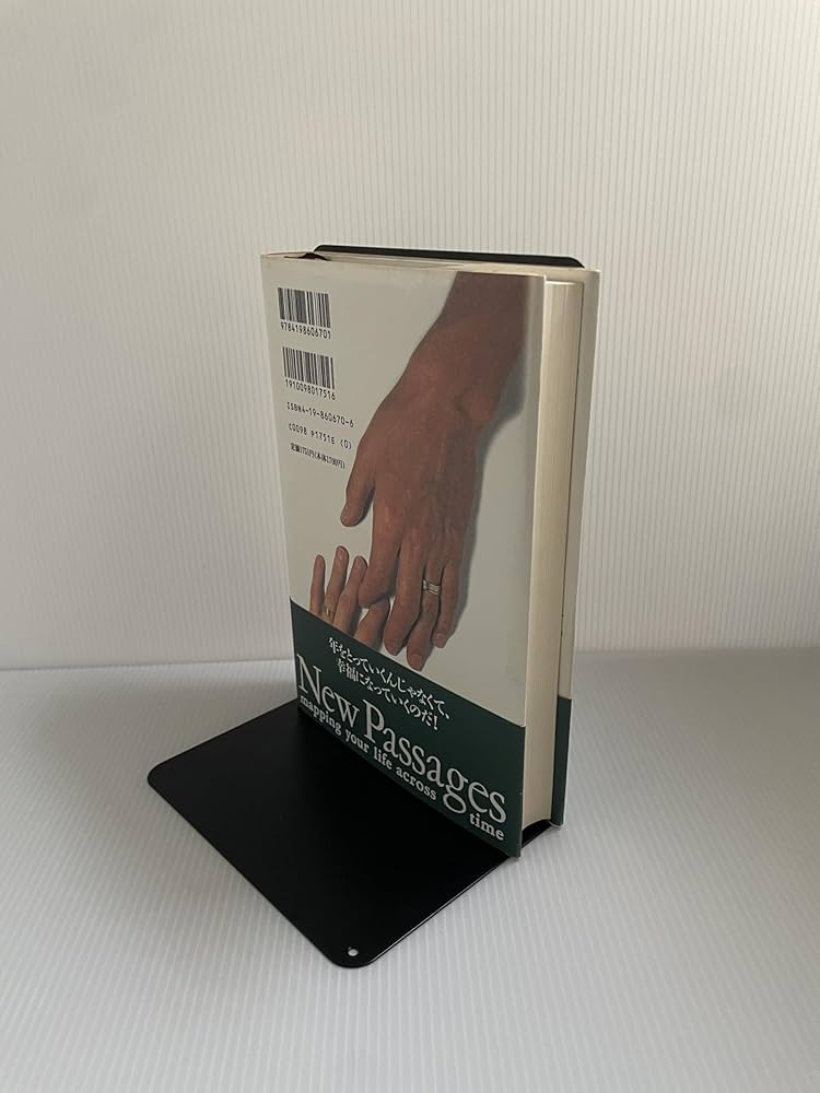 ニュー・パッセージ新たなる航路 上: 人生は45歳からが面白い | ゲイル