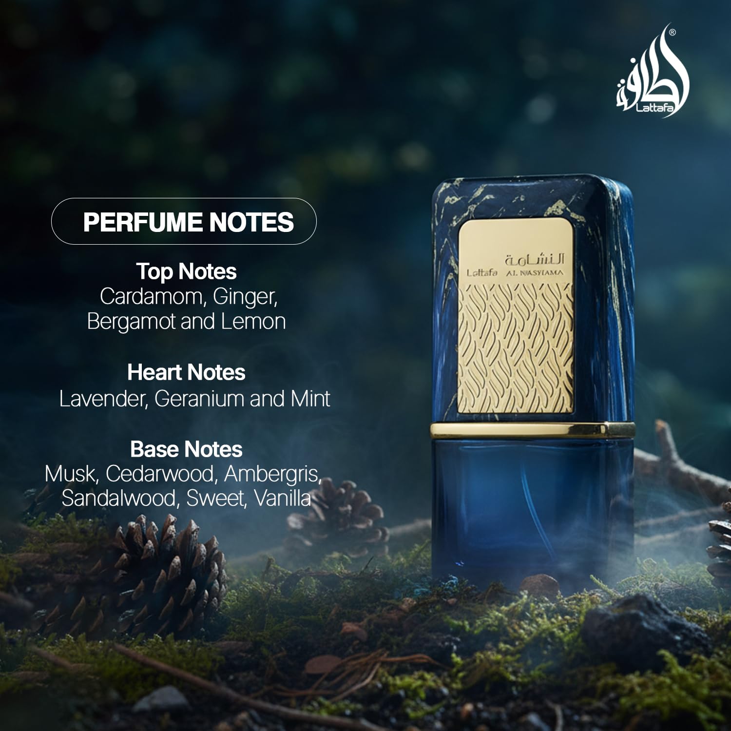 Amazon.com : Lattafa Al Nashama Caprice Eau de Parfum Spray for