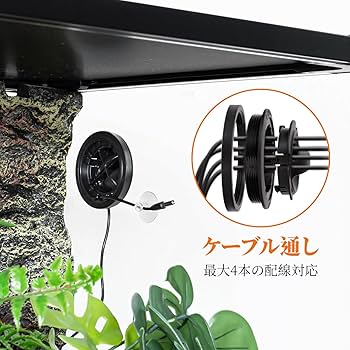 Amazon | 120L 爬虫類ケージ グラステラリウム 透明 W60×D45×H45CM