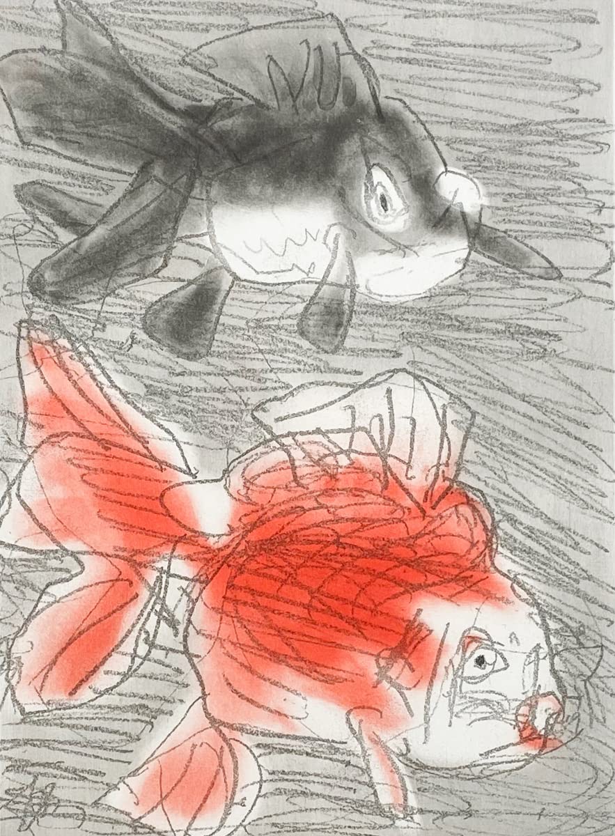 Amazon.co.jp: SHIN中川一政金魚銅版画 直筆サイン入り 額装 : おもちゃ