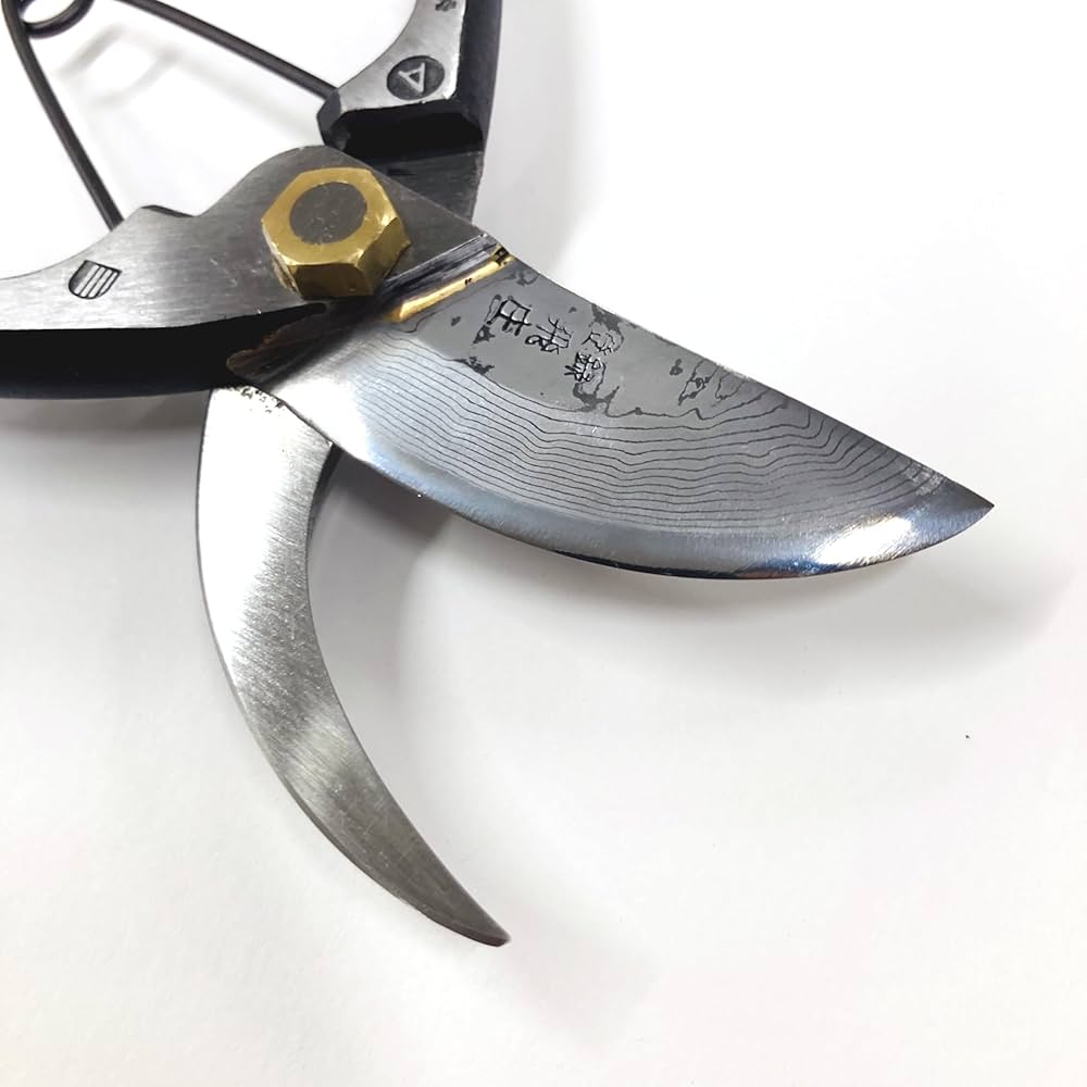 Amazon | ホウネンミヤワキ 飛庄 飛塚製作所 剪定鋏 青紙 225mm