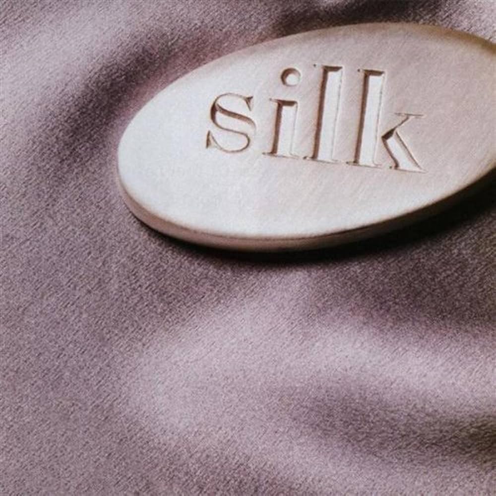 Amazon.com: Silk: CDs & Vinyl