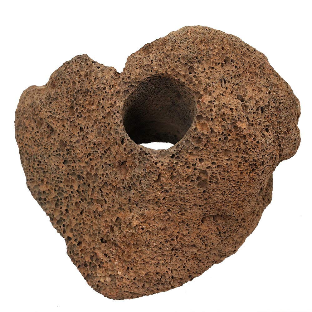Amazon | 《一旦非表示》形状お任せ 穴あき溶岩石（約7～12cm 穴