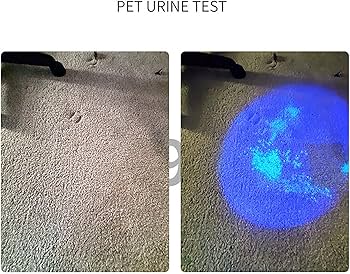 Amazon | 365nm アニサキスライト ライトトラップ ミニ ブラックライト