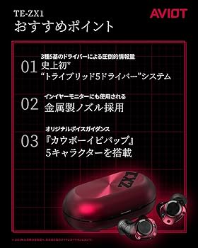 Amazon.co.jp: AVIOT TE-ZX1 ハイブリッドアクティブノイズキャンセ