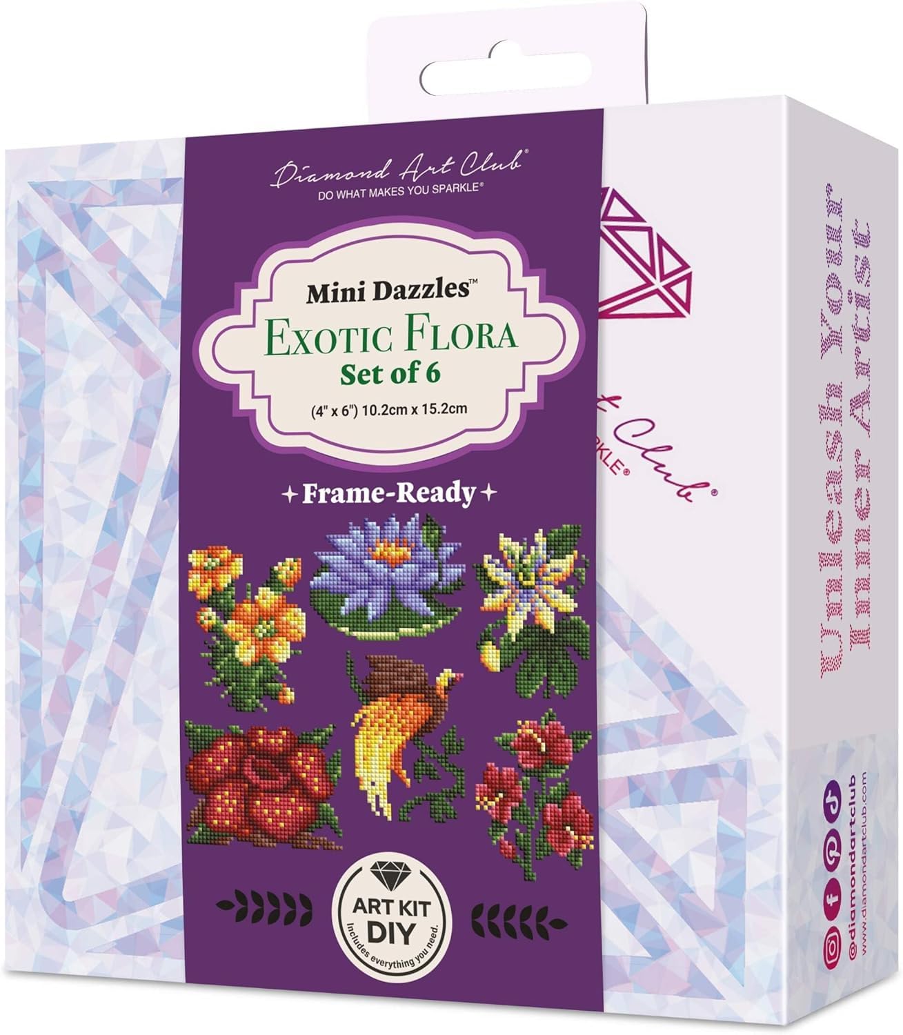 Amazon.com: DIAMOND ART CLUB Mini Dazzles - Exotic Flora Set, Fun