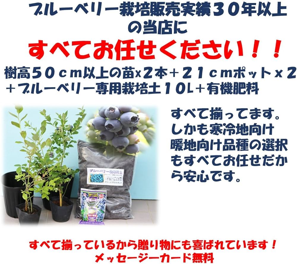 Amazon.co.jp: [初心者]プロにお任せブルーベリー苗木栽培6点セット