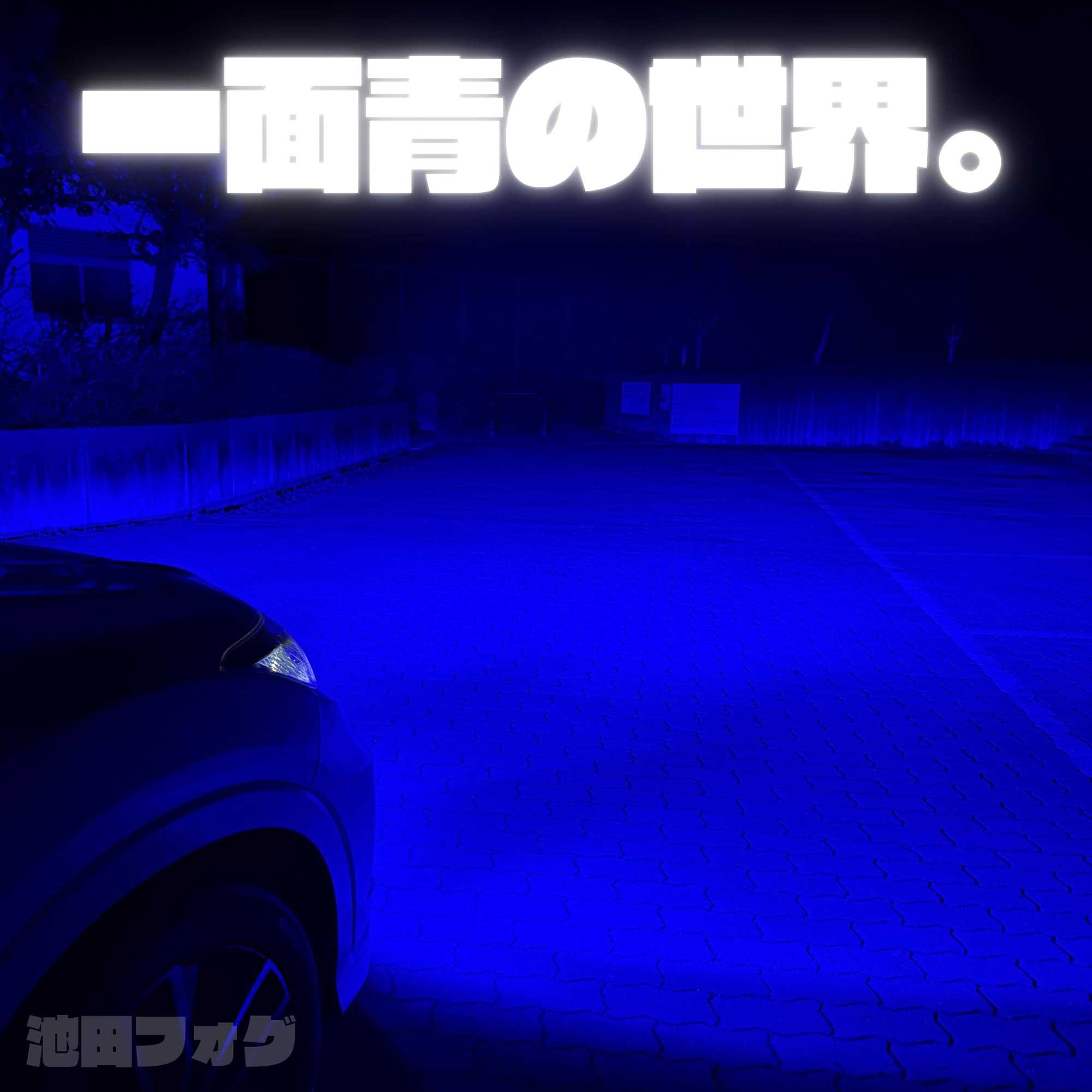 Amazon.co.jp: 爆光ブルーフォグランプH8/H11/H16 HB4 PSX24W PSX26W