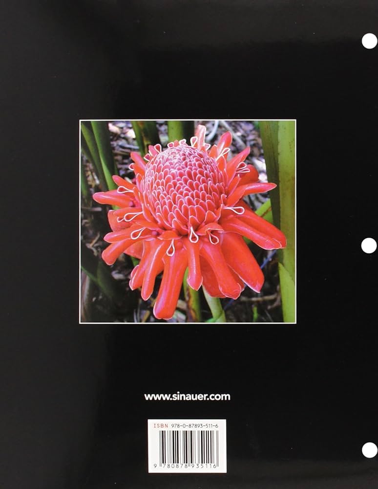 Amazon.com: Plant Physiology: 9780878935116: Taiz, Lincoln, Zeiger