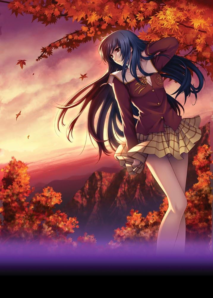 Amazon.co.jp: 久遠の絆 -THE ORIGIN- 初回限定SPECIAL PACKAGE : PCソフト