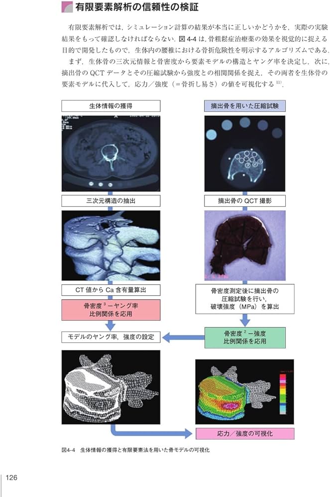 顎顔面のバイオメカニクスとアライナー矯正 | 槇 宏太郎, 高良 有理江