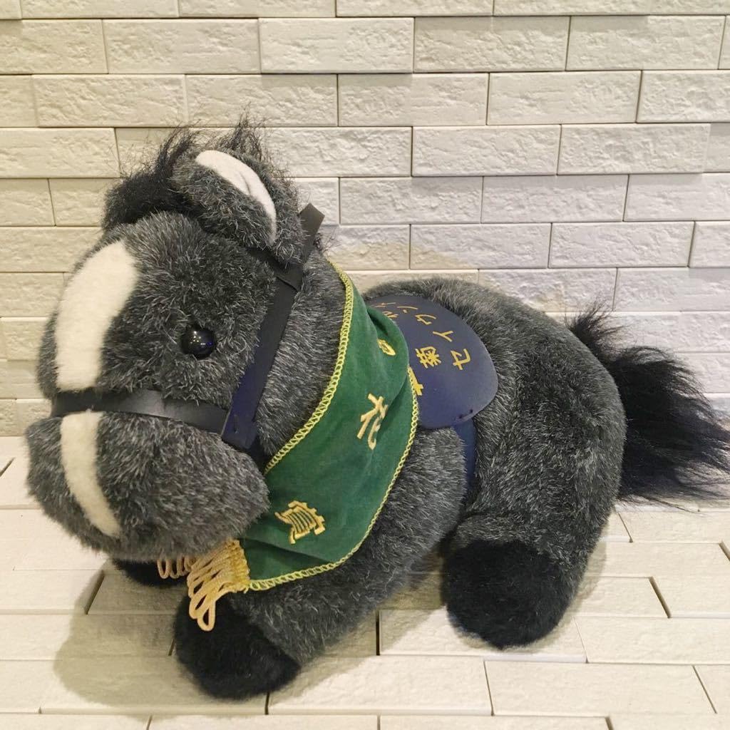 Amazon.co.jp: 第59回 菊花賞 セイウンスカイ 競馬 競走馬 馬