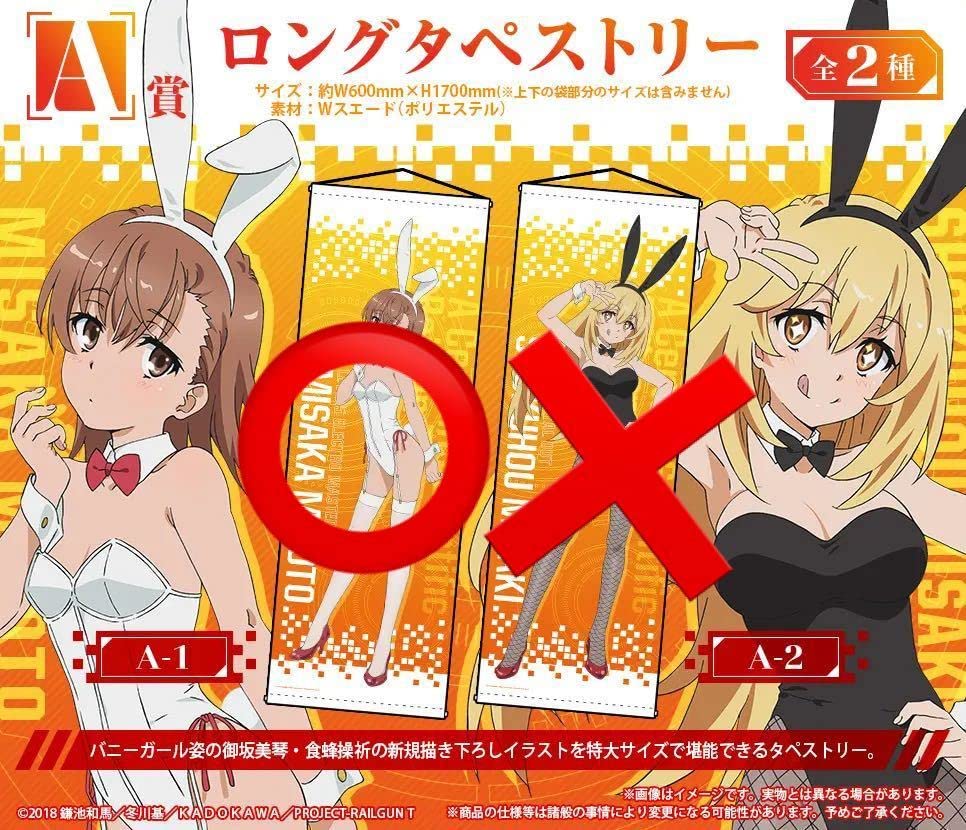 Amazon.co.jp: ☆ 御坂美琴 ロング タペストリー 等身大 白バニー くじ