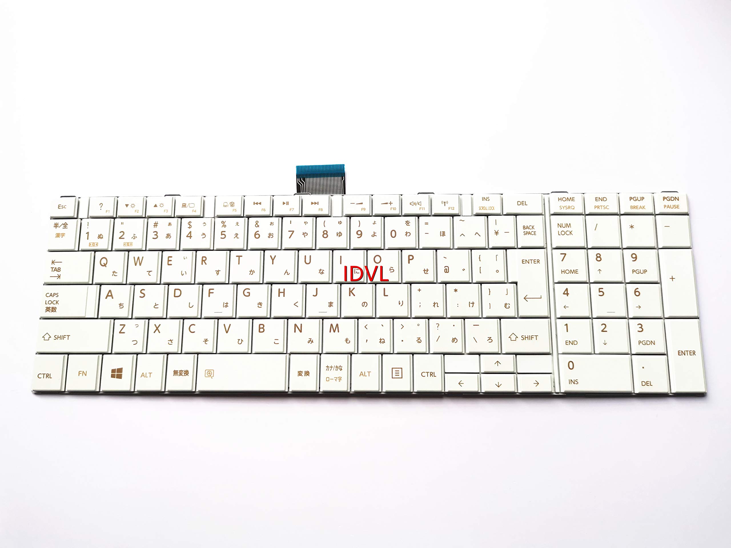 Amazon | [IDVL]東芝dynabook T653 日本語キーボード ノートPC用 白色