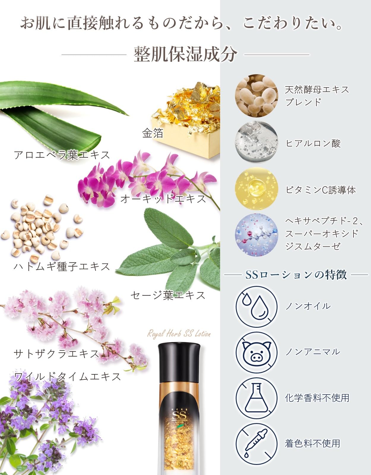 Amazon.co.jp: ロイヤル化粧品 ロイヤルハーブ SSローション 35mL