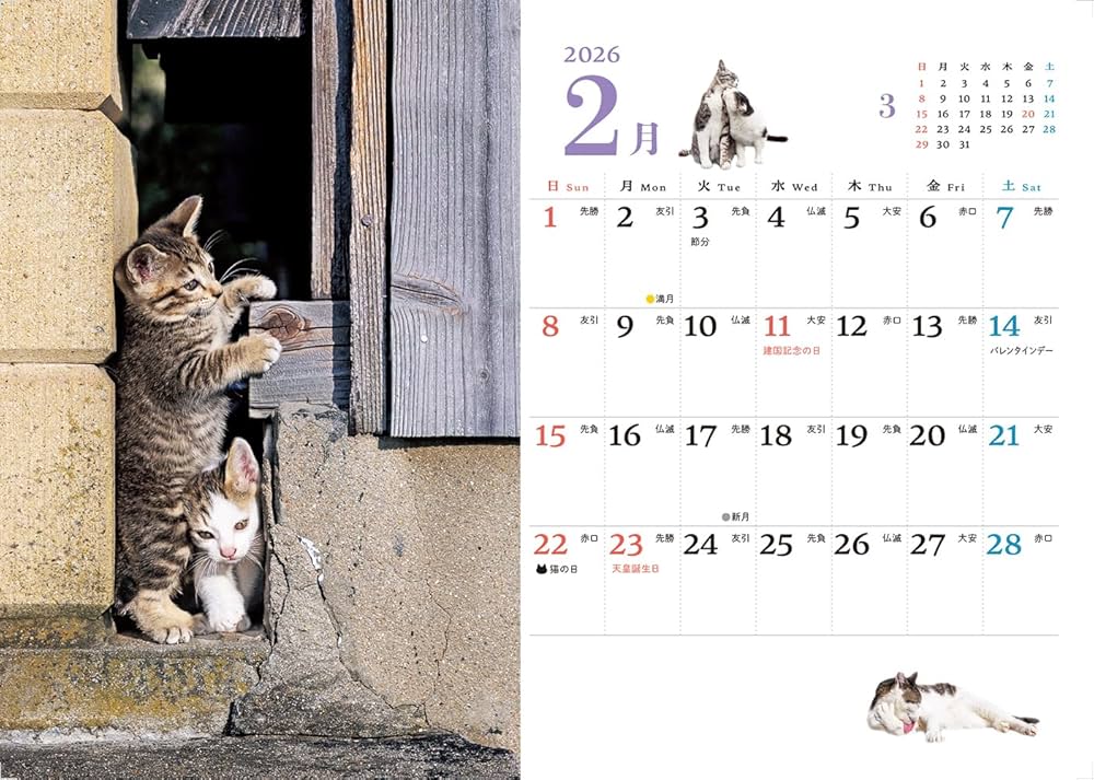 通常版】カレンダー2026 そとねこ mini（月めくり/卓上/128mm×182mm