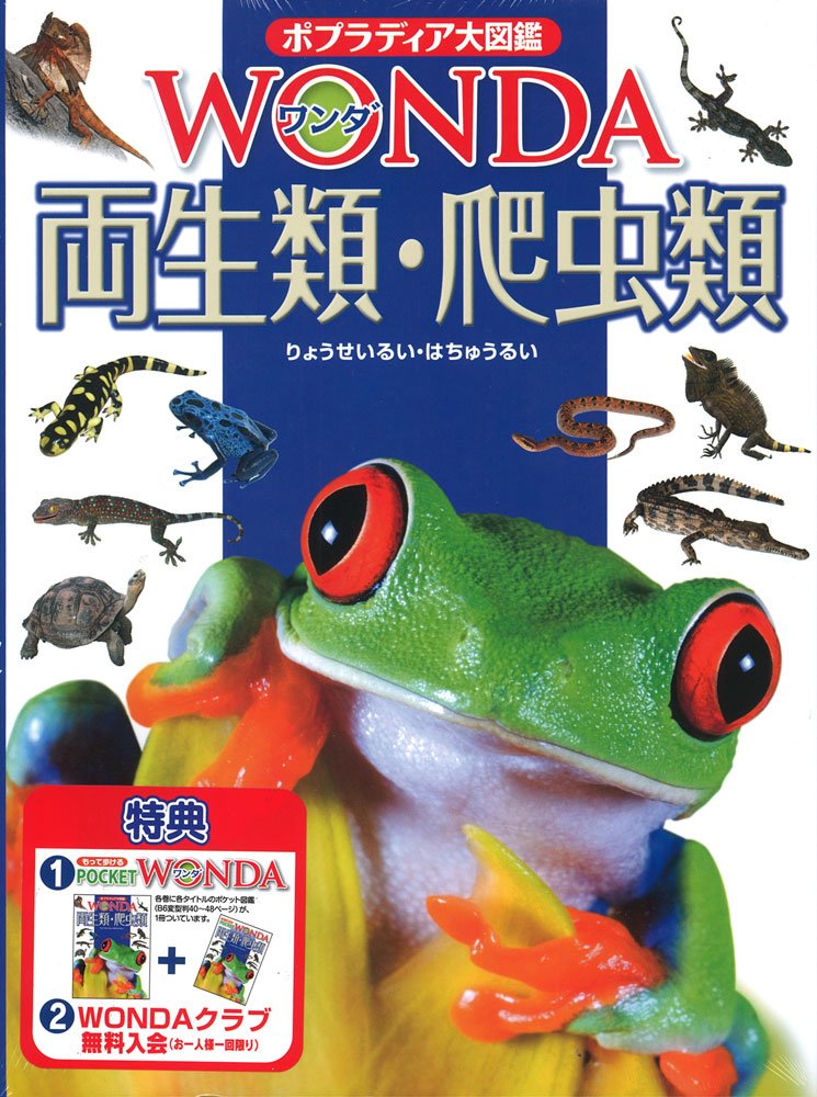 Amazon.co.jp: 両生類・爬虫類 (ポプラディア大図鑑WONDA) : 西川 完途