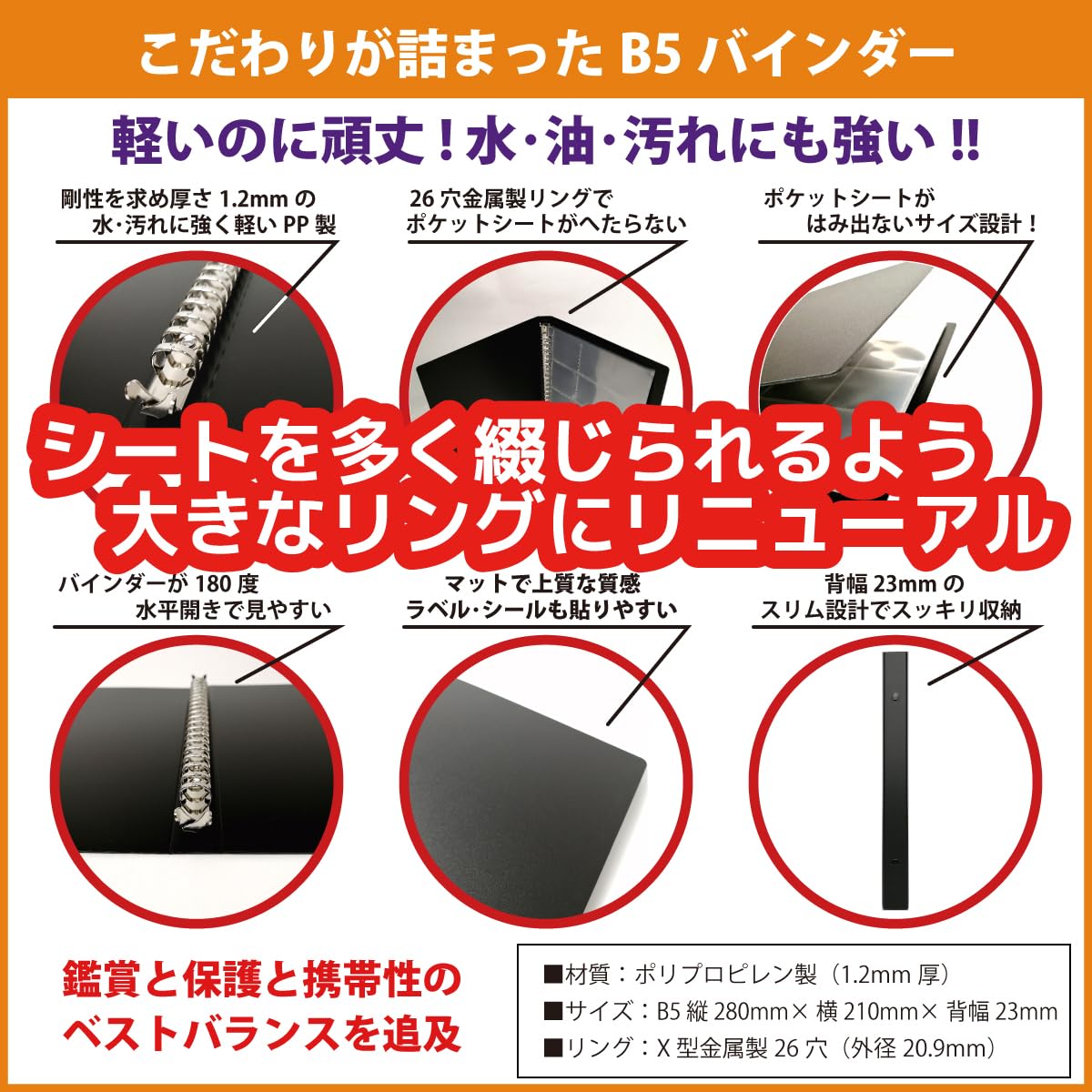 Amazon | WISE SEED 袋入りシール対応 コレクションシール B5