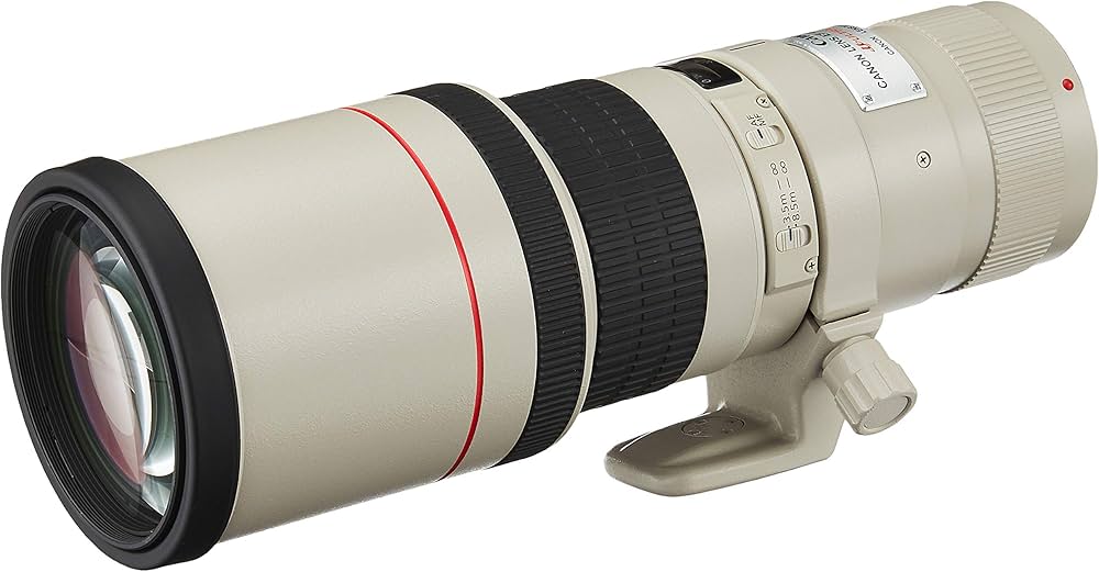 Amazon | Canon EF 400mm f/5.6L USM スーパー望遠レンズ キャノン一眼