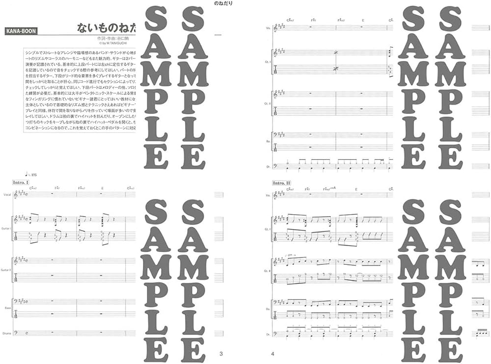 ACCESS DELICATE PLANET バンドスコア アクセス 初版 良品 Amazon.co