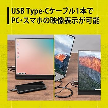 Amazon.co.jp: プリンストン ULTRA PLUS 15.6型 モバイルディスプレイ