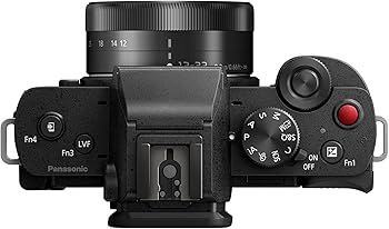 Amazon Canada: Panasonic LUMIX G100 4k Mirrorless Camera for Photo
