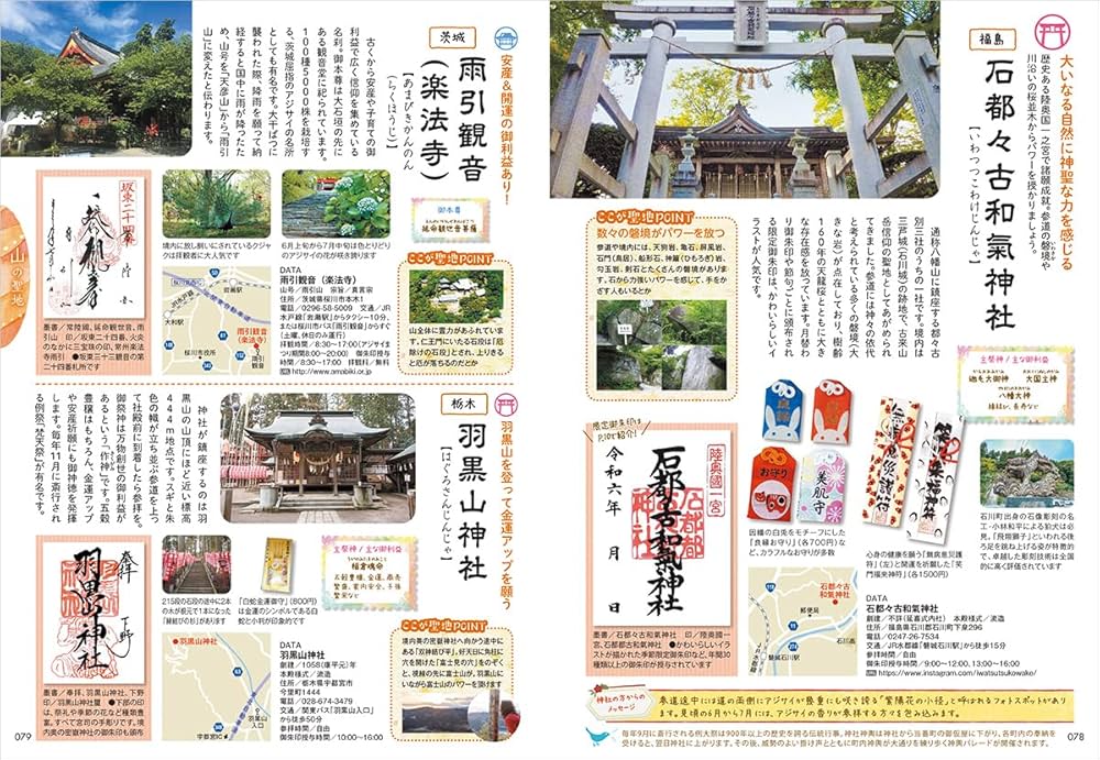 71xJM6V5dvL._AC_UF1000,