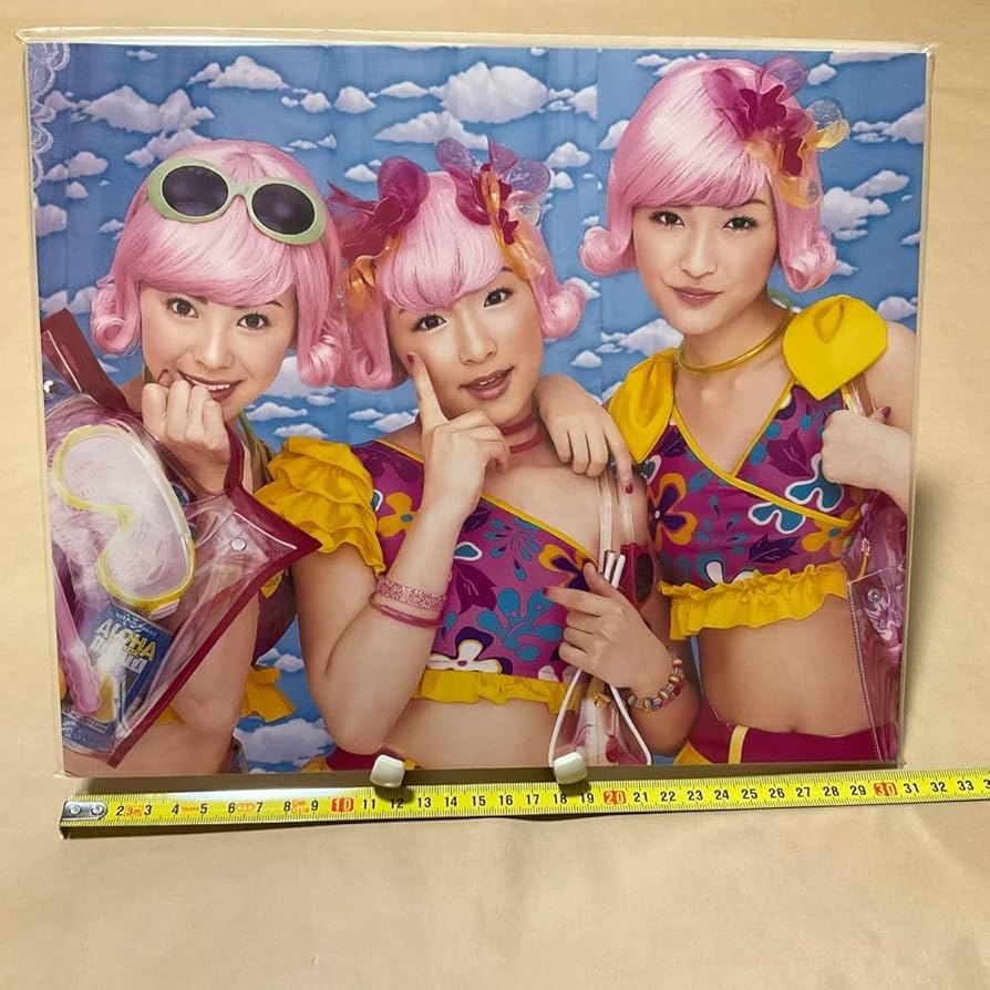 Amazon.co.jp: ジャケットパネル 8枚 モーニング娘 写真パネル