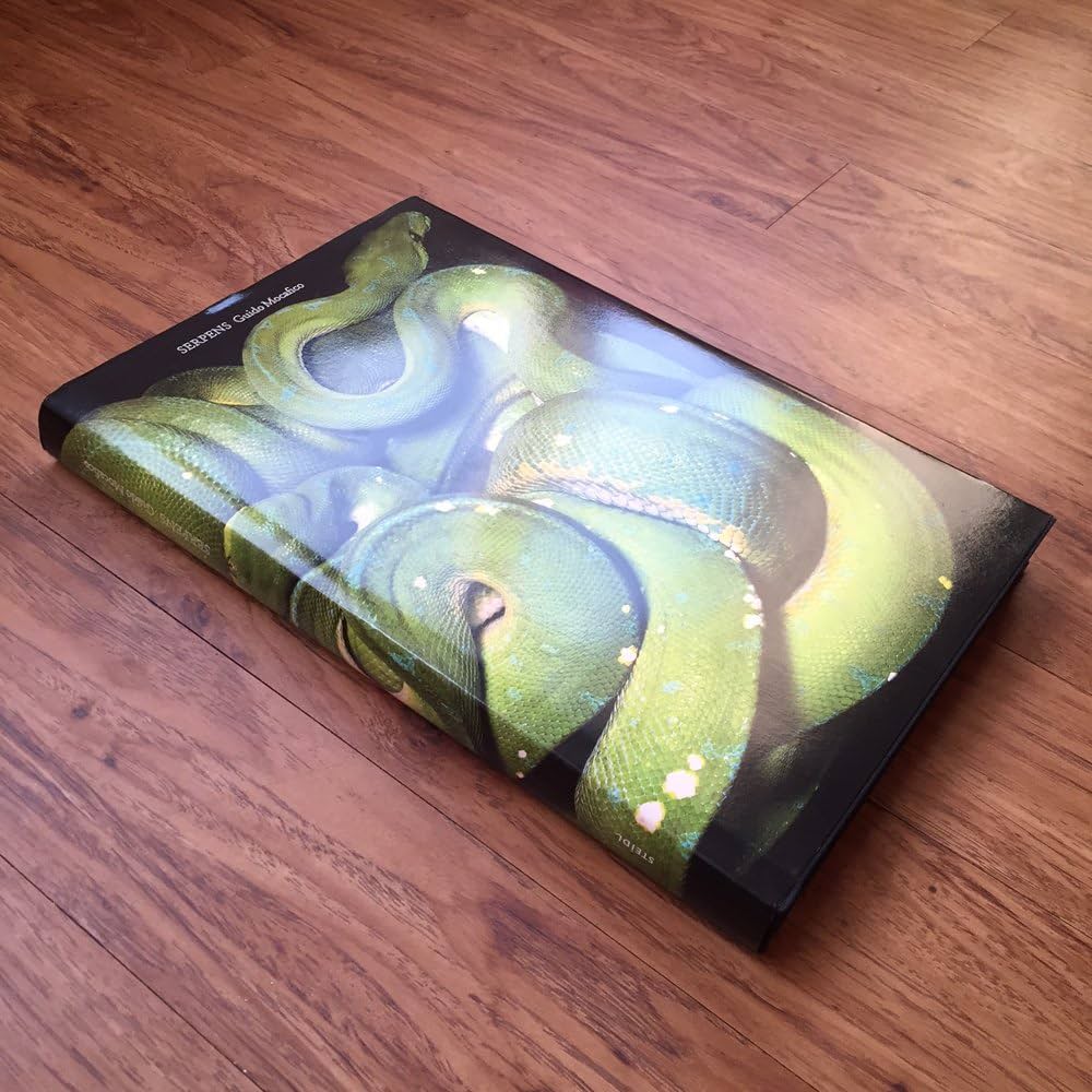 Guido Mocafico: Serpens: Goy, Jacqueline, Remy, Patrick, Mocafico