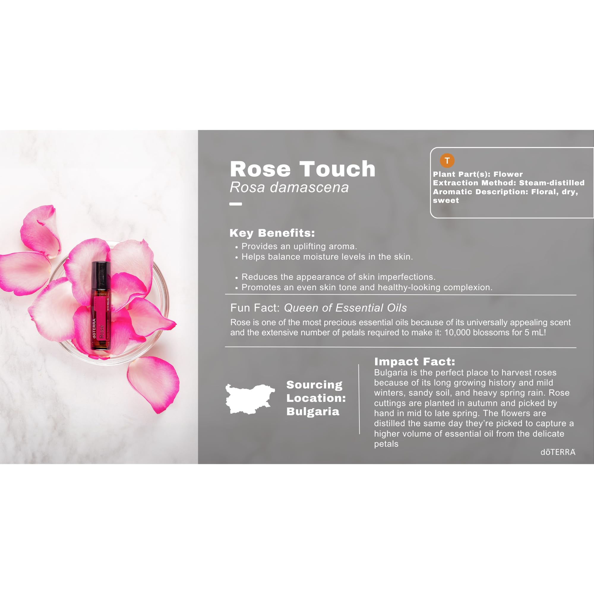 Amazon.com: doTERRA - Rose Touch Essential Oil - 10 mL Roll On