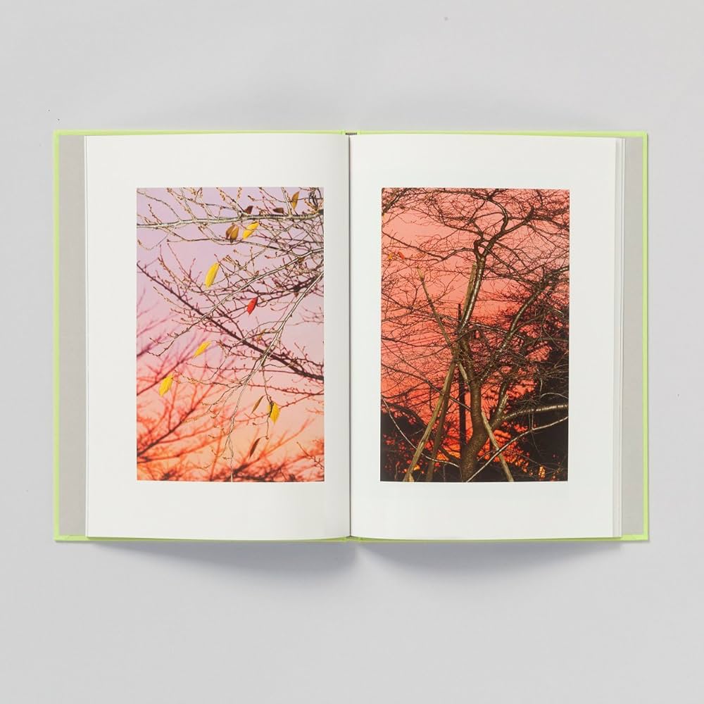 Amazon | TOKYO PARROTS | 水谷吉法, 水谷吉法 | Individual Artists