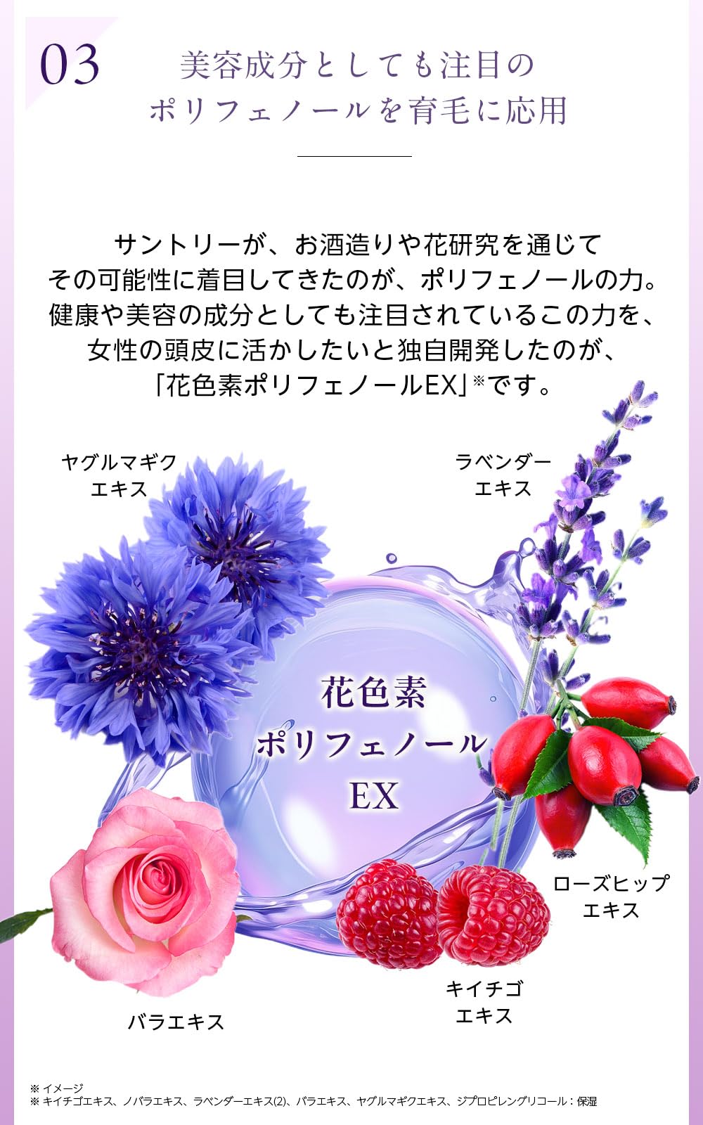 Amazon | サントリー フローリッチ 医薬部外品 薬用育毛剤 薄毛 抜け毛