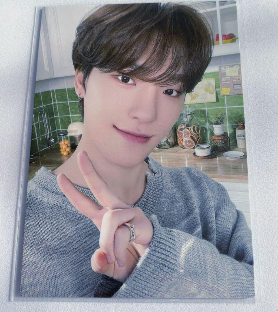 Amazon.co.jp: HOME DINO ディノ セブチ トレカ プルオーバー : おもちゃ