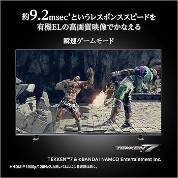 かじ 値下げしました！REGZA 4K有機EL 48X8400 焼付きあり かじ 値下げ